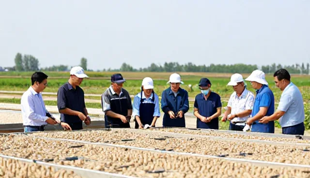 农产品加工中传统与现代种植技术指导的对比与取舍